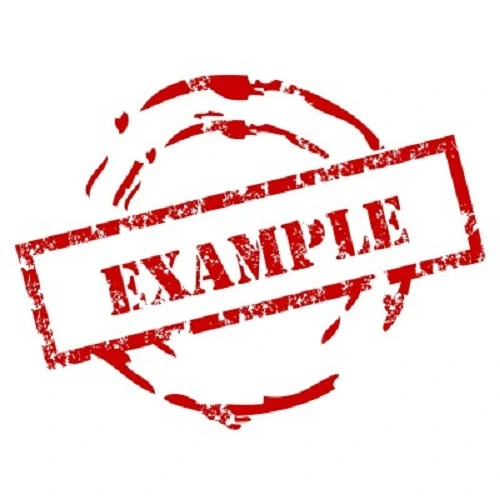 example profile image